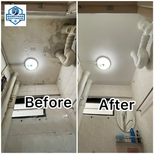 Transform Your Space: The Definitive Guide to Expert Plaster and Painting Services in Singapore